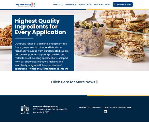 Website Development Project